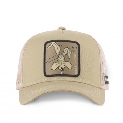 Casquette Looney Tunes Coyote