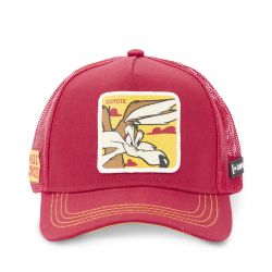 Casquette adulte Looney Tunes Coyote