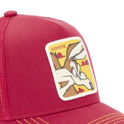 Casquette adulte Looney Tunes Coyote