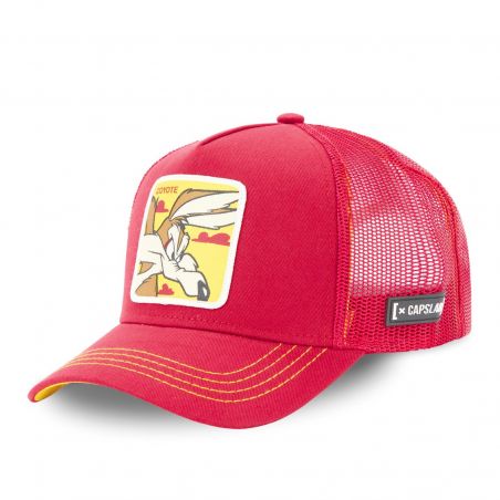 Casquette adulte Looney Tunes Coyote