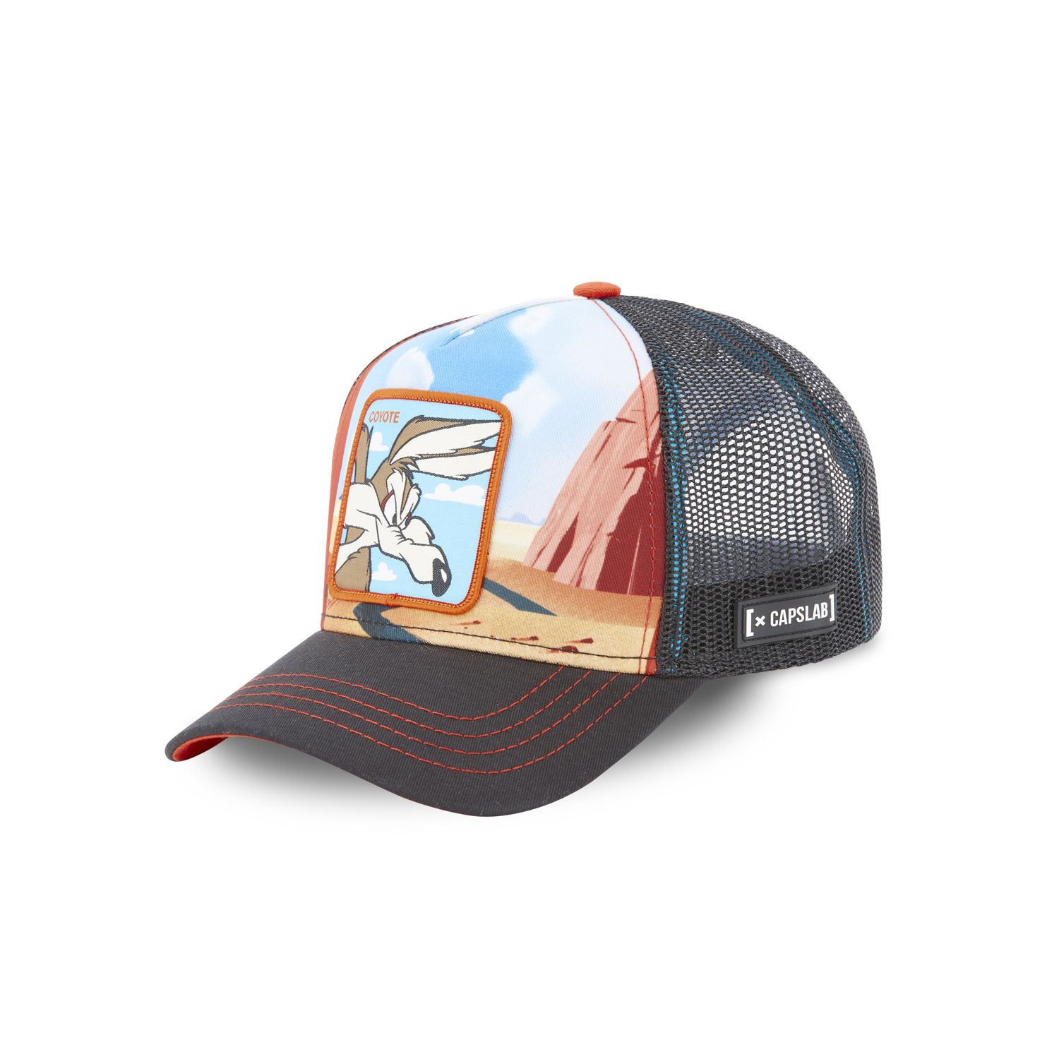 Casquette adulte Looney Tunes Coyote