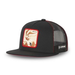 Casquette snapback  visière...